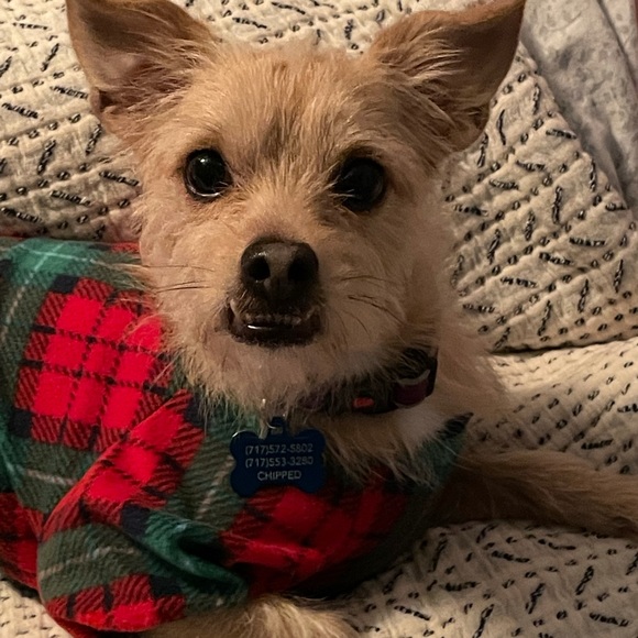 Meet Your Posher, Kathi - Picture 4 of 4